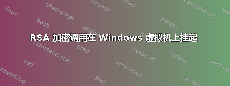 RSA 加密调用在 Windows 虚拟机上挂起