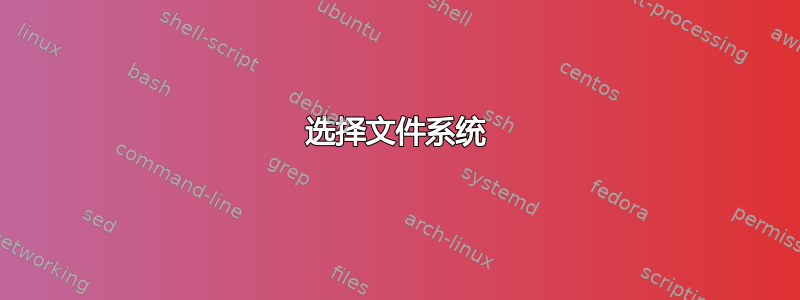 选择文件系统