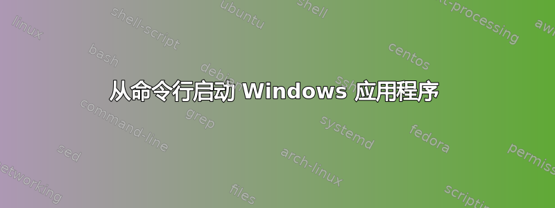 从命令行启动 Windows 应用程序