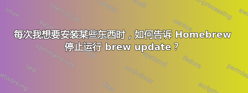 每次我想要安装某些东西时，如何告诉 Homebrew 停止运行 brew update？