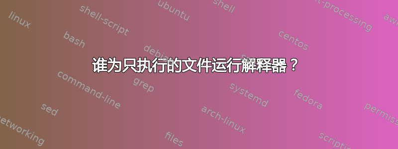 谁为只执行的文件运行解释器？