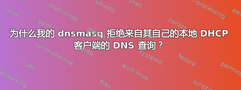 为什么我的 dnsmasq 拒绝来自其自己的本地 DHCP 客户端的 DNS 查询？