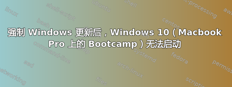 强制 Windows 更新后，Windows 10（Macbook Pro 上的 Bootcamp）无法启动