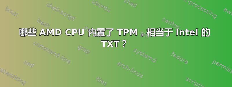 哪些 AMD CPU 内置了 TPM，相当于 Intel 的 TXT？