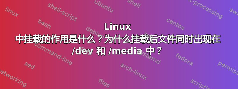 Linux 中挂载的作用是什么？为什么挂载后文件同时出现在 /dev 和 /media 中？