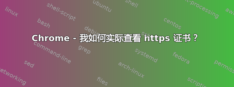 Chrome - 我如何实际查看 https 证书？