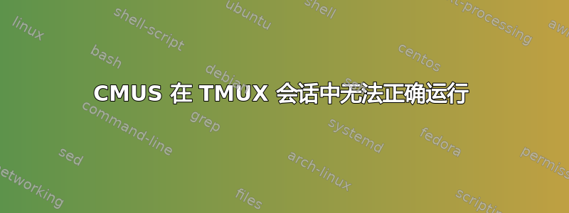 CMUS 在 TMUX 会话中无法正确运行