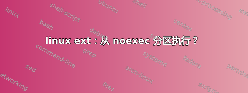 linux ext：从 noexec 分区执行？