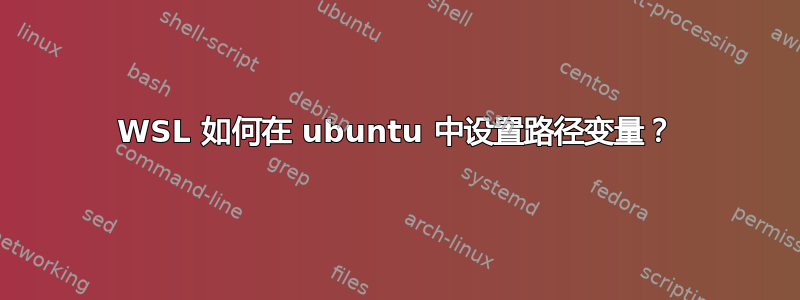 WSL 如何在 ubuntu 中设置路径变量？