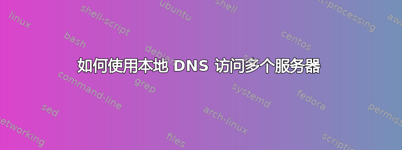 如何使用本地 DNS 访问多个服务器