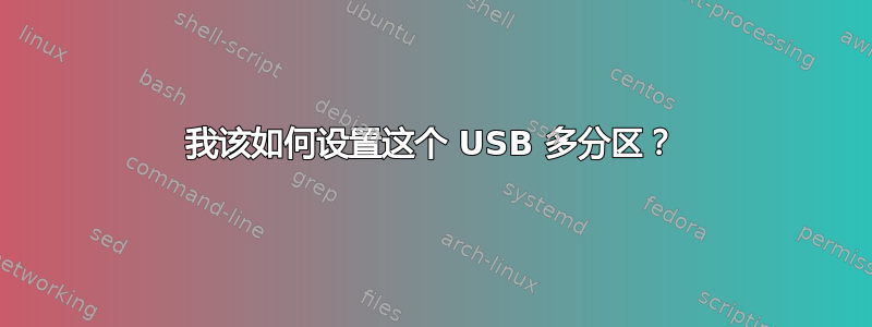 我该如何设置这个 USB 多分区？