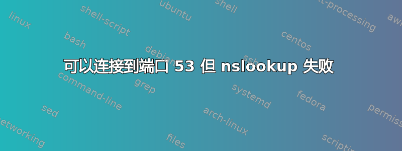 可以连接到端口 53 但 nslookup 失败