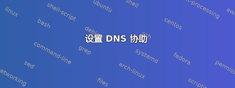 设置 DNS 协助