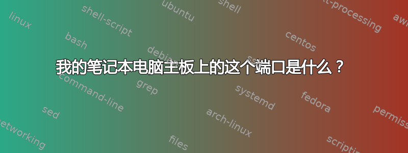 我的笔记本电脑主板上的这个端口是什么？