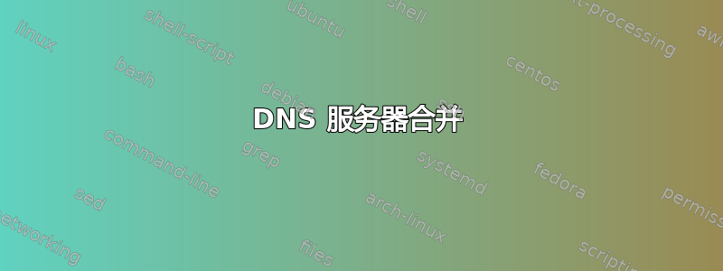 DNS 服务器合并