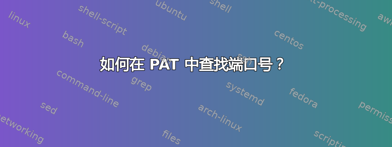 如何在 PAT 中查找端口号？