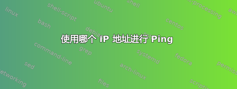 使用哪个 IP 地址进行 Ping