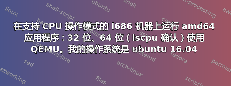 在支持 CPU 操作模式的 i686 机器上运行 amd64 应用程序：32 位、64 位（lscpu 确认）使用 QEMU。我的操作系统是 ubuntu 16.04