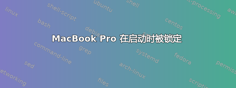 MacBook Pro 在启动时被锁定