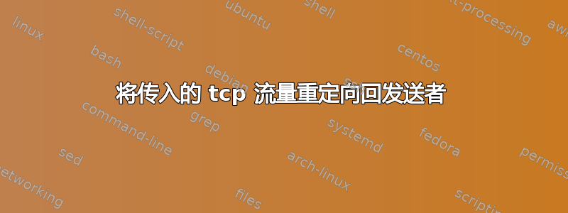 将传入的 tcp 流量重定向回发送者