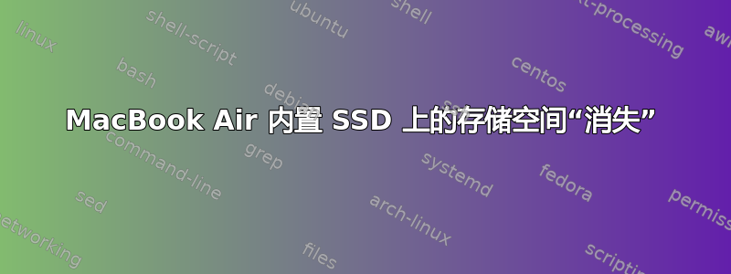 MacBook Air 内置 SSD 上的存储空间“消失”