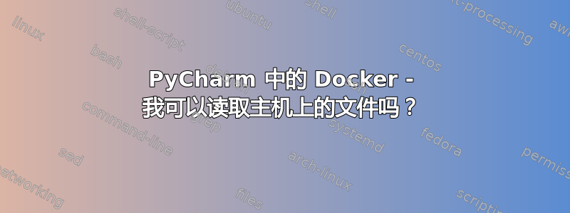 PyCharm 中的 Docker - 我可以读取主机上的文件吗？