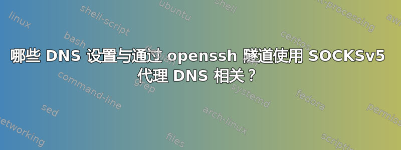 哪些 DNS 设置与通过 openssh 隧道使用 SOCKSv5 代理 DNS 相关？