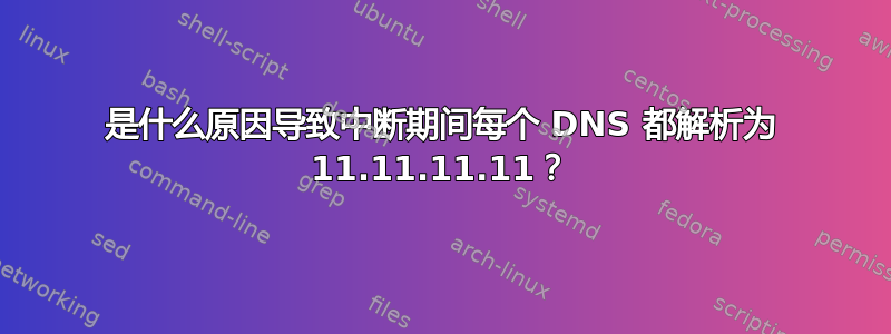 是什么原因导致中断期间每个 DNS 都解析为 11.11.11.11？