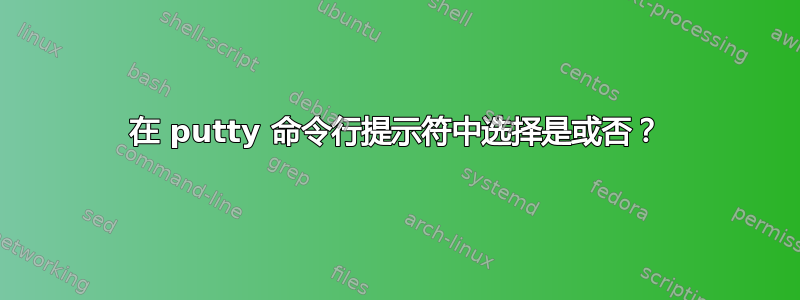 在 putty 命令行提示符中选择是或否？