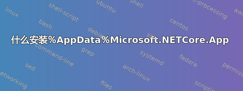 什么安装％AppData％Microsoft.NETCore.App