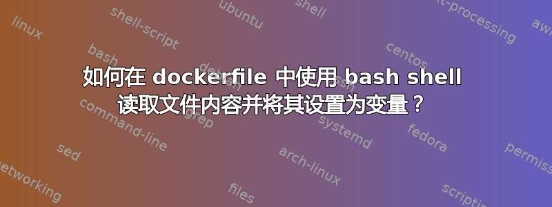 如何在 dockerfile 中使用 bash shell 读取文件内容并将其设置为变量？