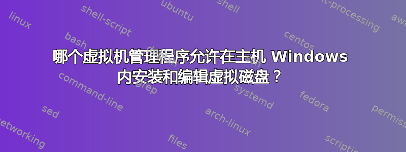 哪个虚拟机管理程序允许在主机 Windows 内安装和编辑虚拟磁盘？