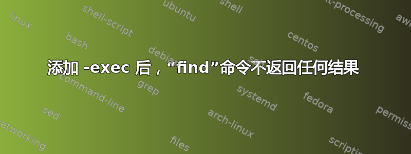 添加 -exec 后，“find”命令不返回任何结果