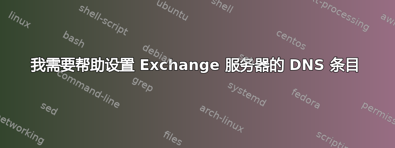 我需要帮助设置 Exchange 服务器的 DNS 条目