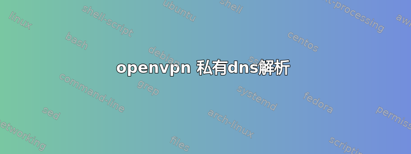 openvpn 私有dns解析