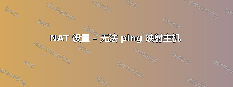 NAT 设置 – 无法 ping 映射主机