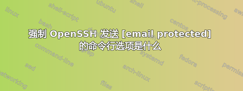 强制 OpenSSH 发送 [email protected] 的命令行选项是什么