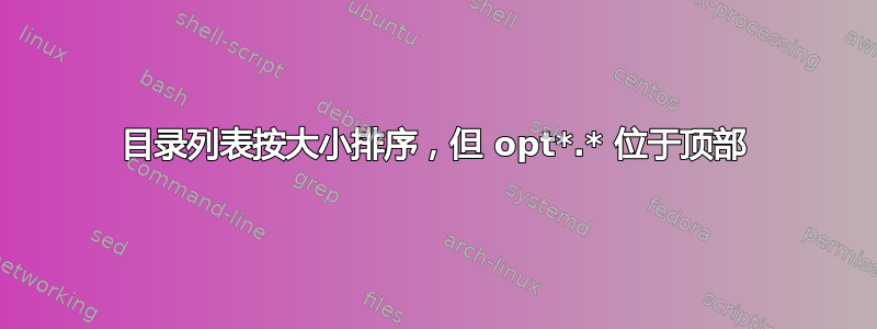 目录列表按大小排序，但 opt*.* 位于顶部