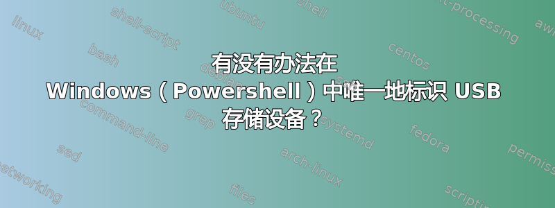 有没有办法在 Windows（Powershell）中唯一地标识 USB 存储设备？