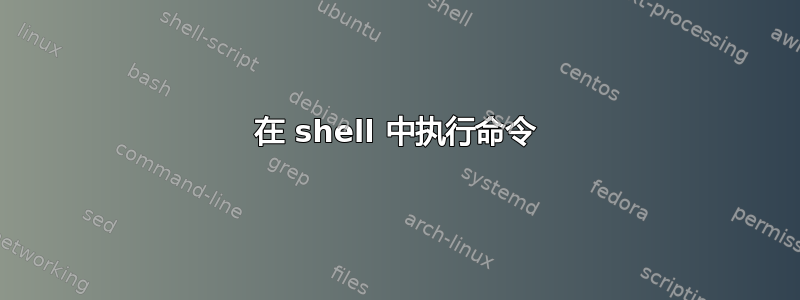 在 shell 中执行命令