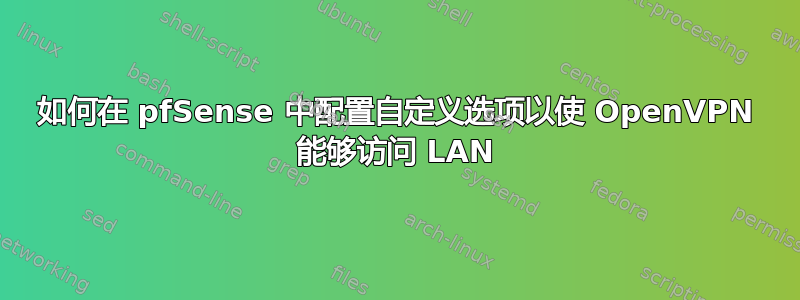 如何在 pfSense 中配置自定义选项以使 OpenVPN 能够访问 LAN