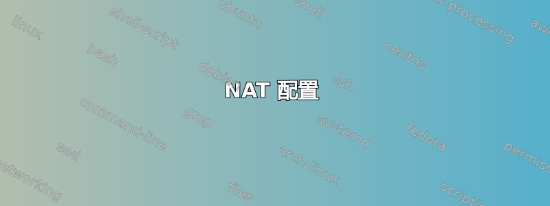 NAT 配置