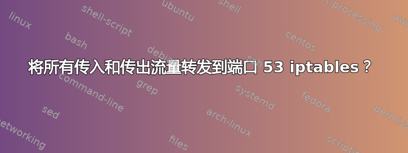 将所有传入和传出流量转发到端口 53 iptables？