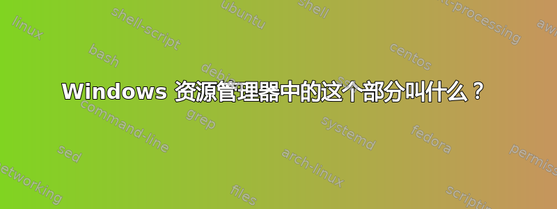 Windows 资源管理器中的这个部分叫什么？