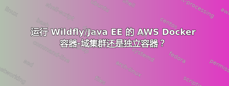 运行 Wildfly/Java EE 的 AWS Docker 容器-域集群还是独立容器？