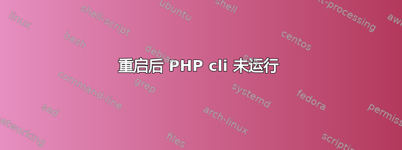 重启后 PHP cli 未运行