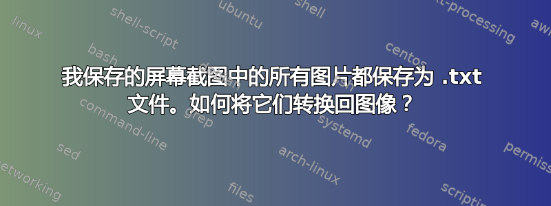 我保存的屏幕截图中的所有图片都保存为 .txt 文件。如何将它们转换回图像？