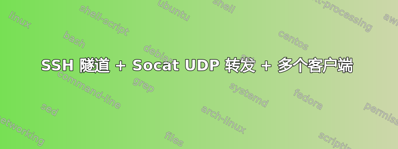 SSH 隧道 + Socat UDP 转发 + 多个客户端