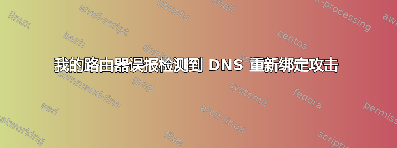 我的路由器误报检测到 DNS 重新绑定攻击