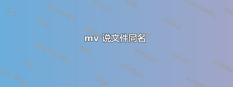 mv 说文件同名